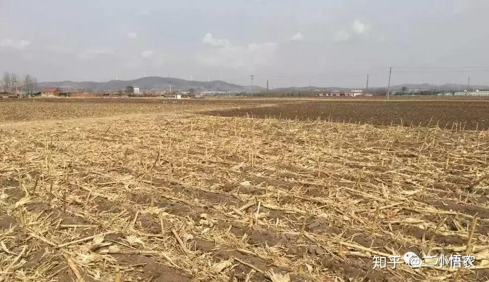 免耕免耕!这地,到底耕还是不耕? - 知乎