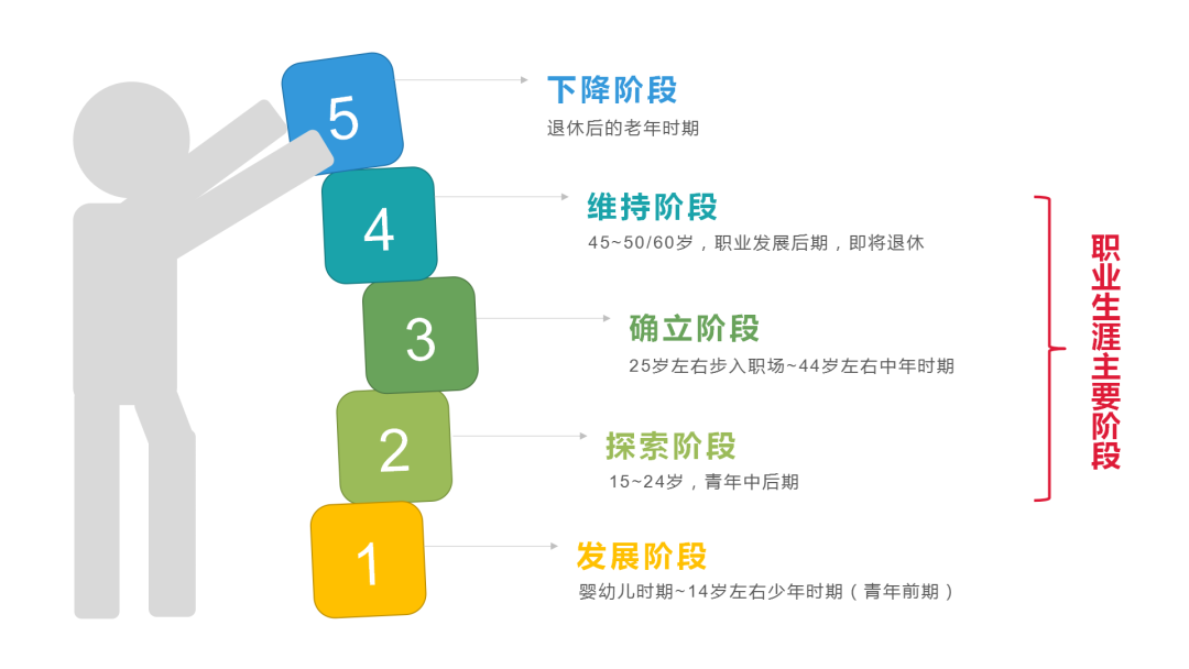 根据美国生涯规划大师唐纳德·舒伯的"人生阶段论",这段漫长的职业