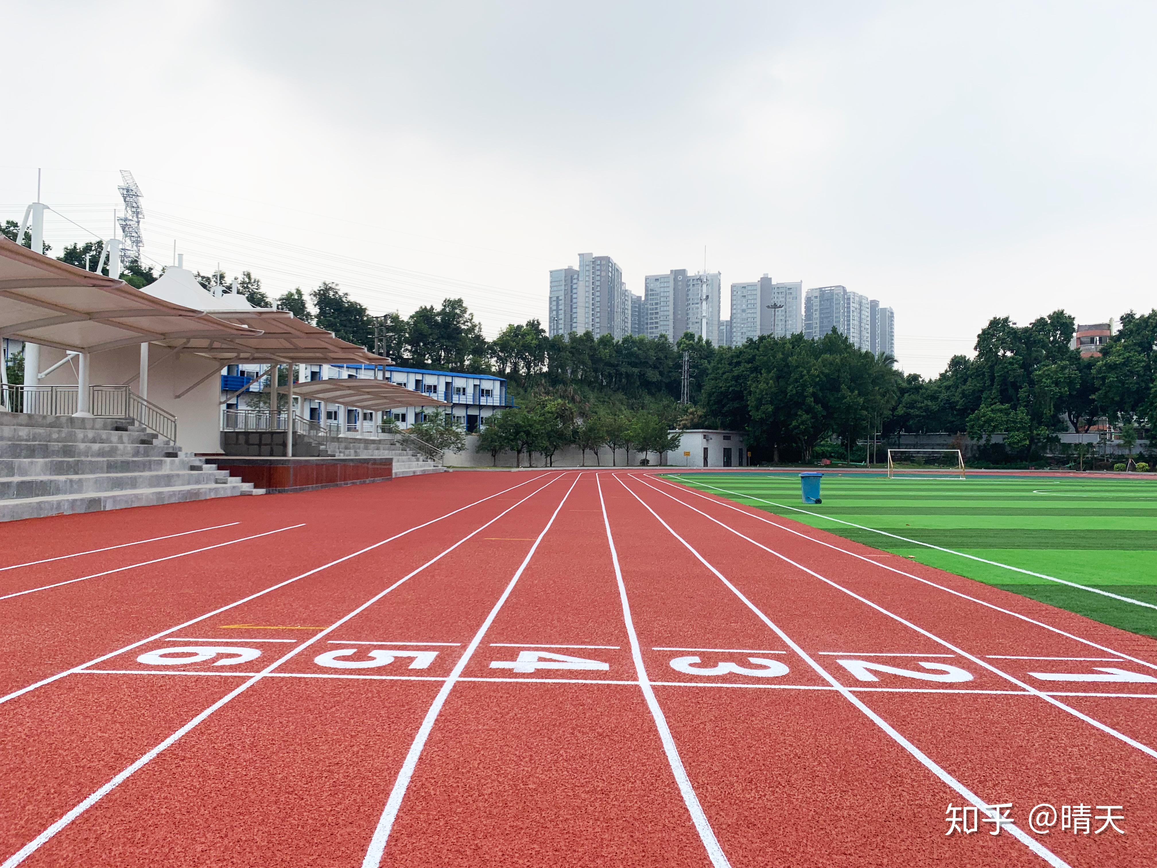 关于塑胶跑道的问题都在这里