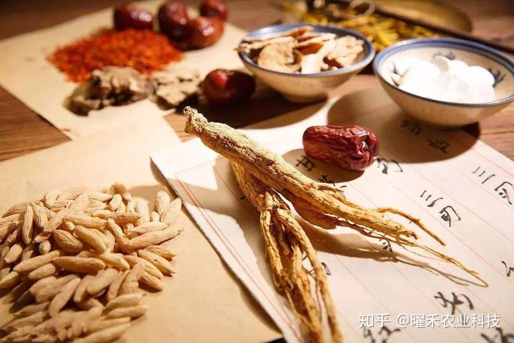 固本培元,身体元气如何补? - 知乎