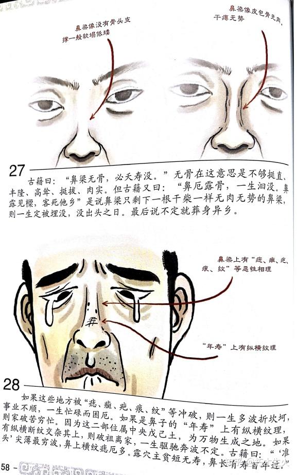 东山相法(东山面相)——第二十三篇:五官 审辨官(鼻子) - 知乎