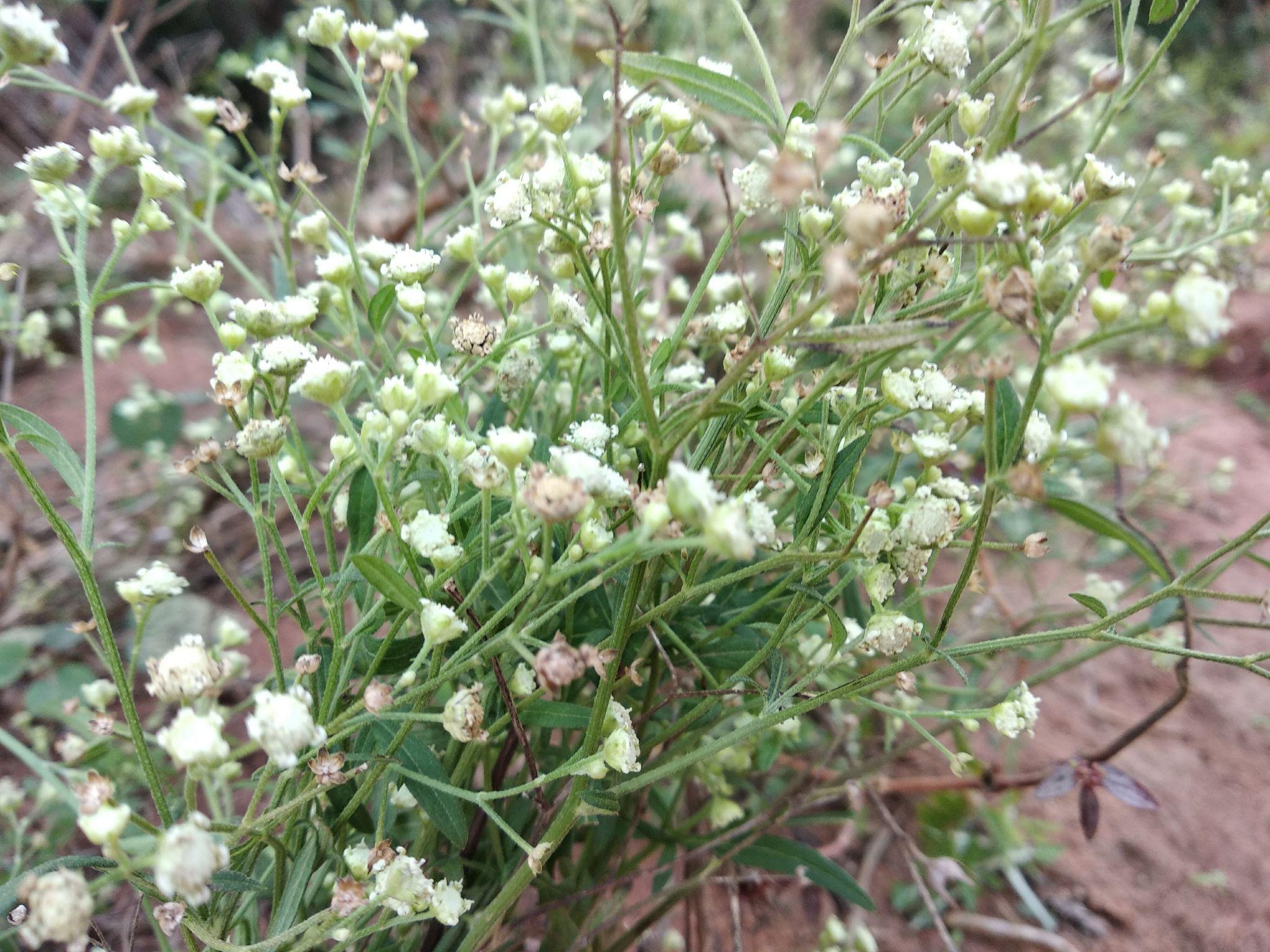 如果淡了那就相忘于江湖吧