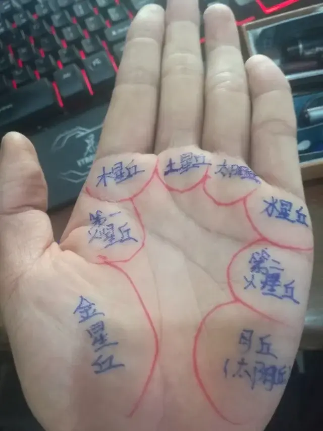 透过手相八大丘探索命运的秘密