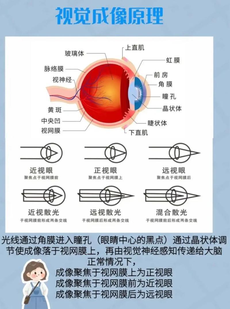 一,从眼球结构和成像原理,了解近视是怎么产生的