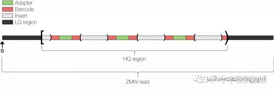 三代测序入门:PacBio数据分析 - 知乎