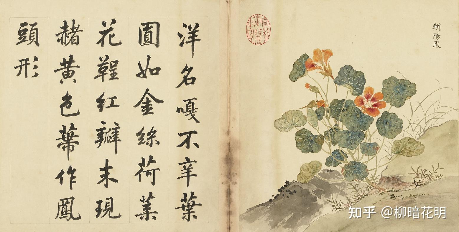 清代余省花鸟国画合集 - 知乎