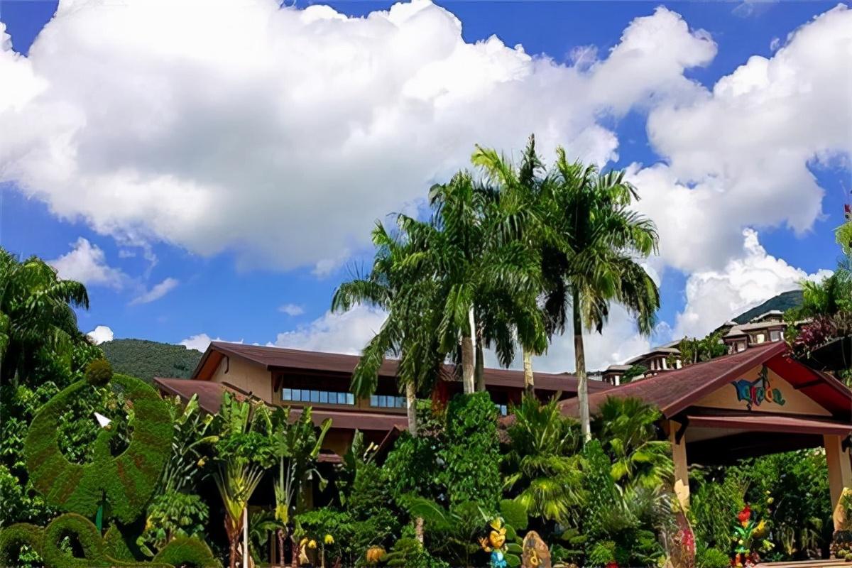 海南优质的自然资源 成为众多人旅居的天堂