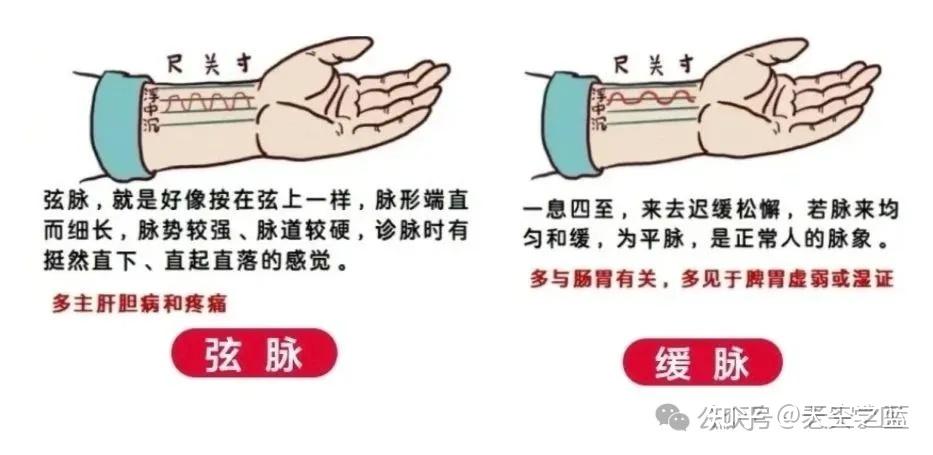 中医把脉原理 - 知乎