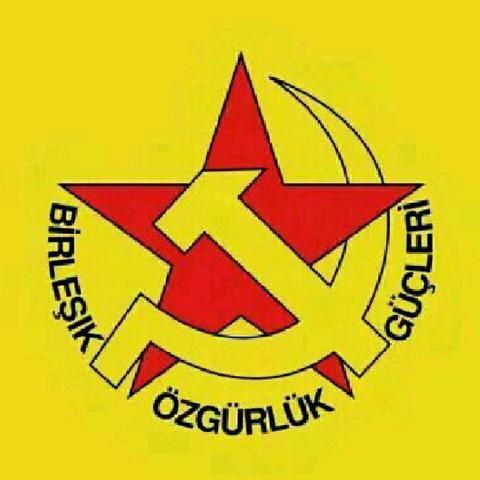 sdf叙利亚民主军国际纵队志愿者在国内的反法西斯行动