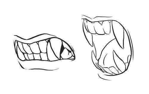 人类和动物的牙齿怎么画?画兽参考素材