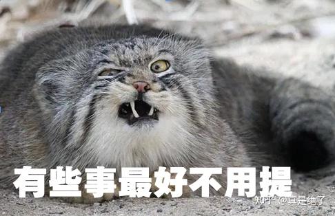 高原三傻之一的兔狲,表面萌翻众人,实则隐藏凶猛一面 - 知乎