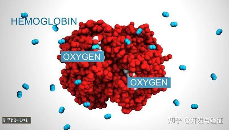 科普什么是蛋白质