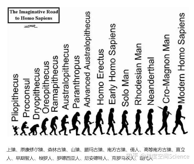 人类进化图是个大骗局?出版商为了省事,误导观众好多年!