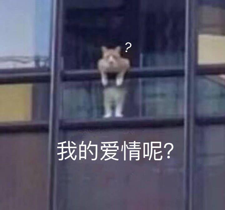 v2-13400566273563c92d39c6c680a17a0d_r.jpg