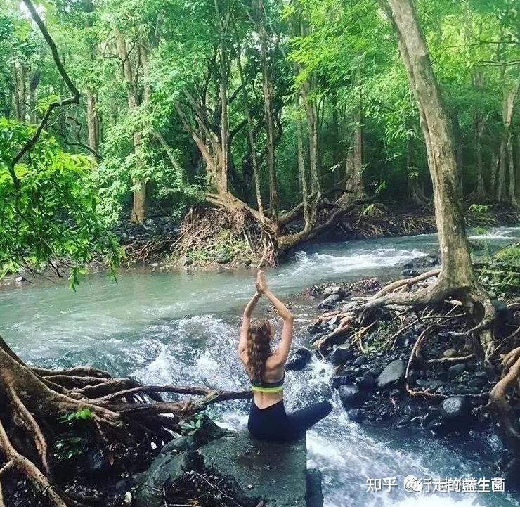 森林浴是个啥？ 知乎