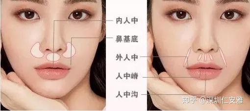 此凹陷上方较浅而下方较深,凹陷两侧隆起的是人种嵴,两侧人中嵴大致