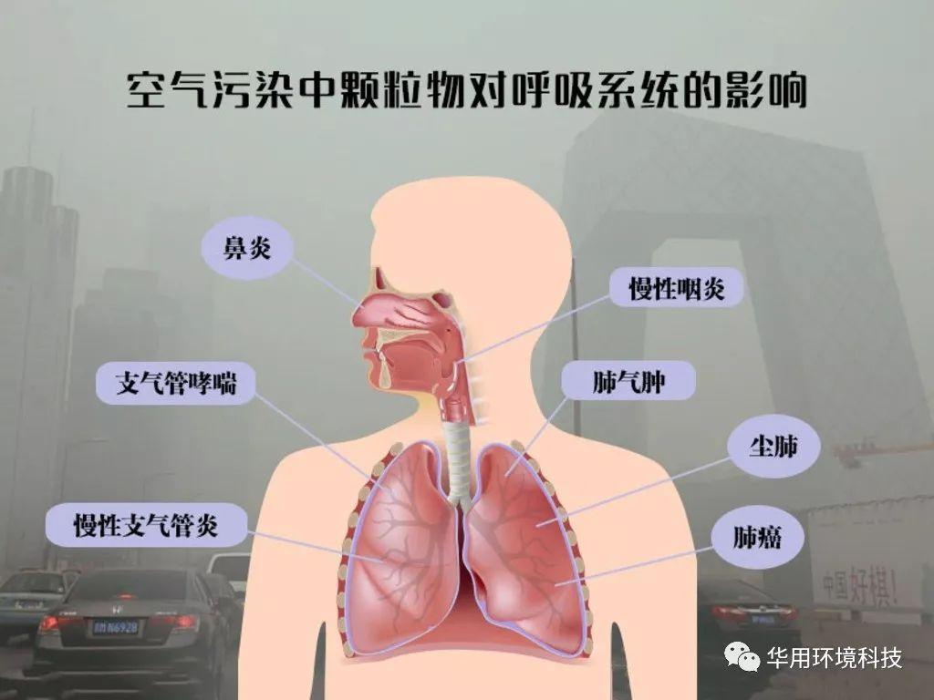 5微米的颗粒物,据可靠数据表明,在中国每年因为大气污染过早死亡的