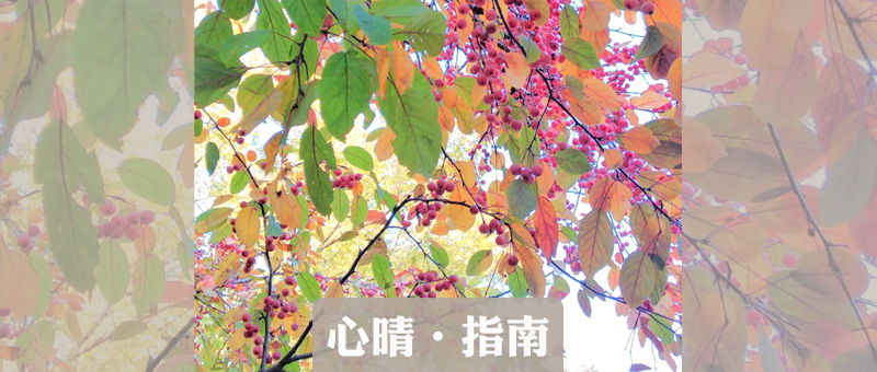 提前了解这七件事 去精神科看病心里不慌 知乎