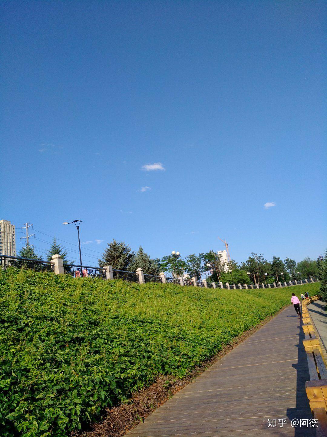 夏至 - 知乎