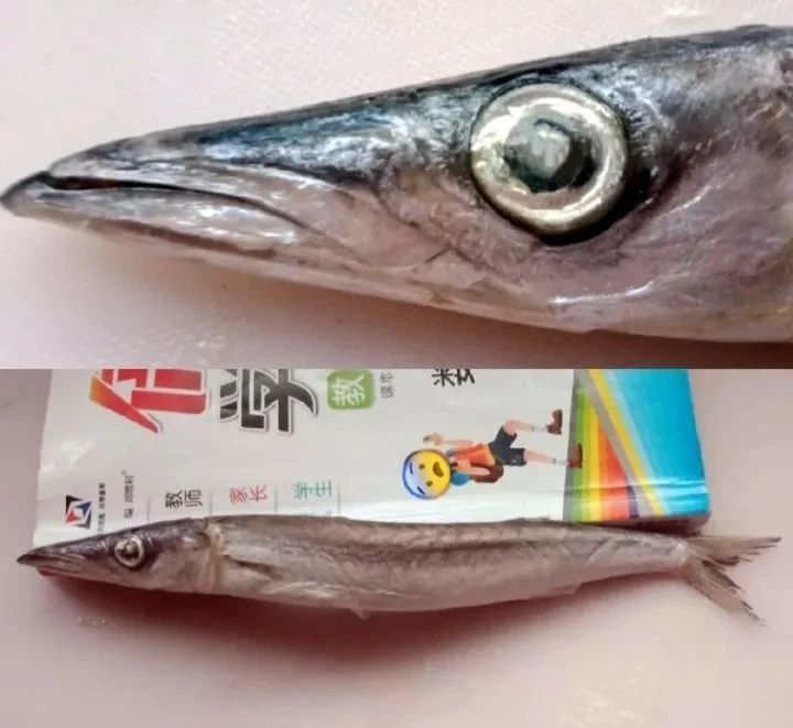 您可能吃到了假鱼闲聊沙丁鱼作者暮晖熠熠乐乐