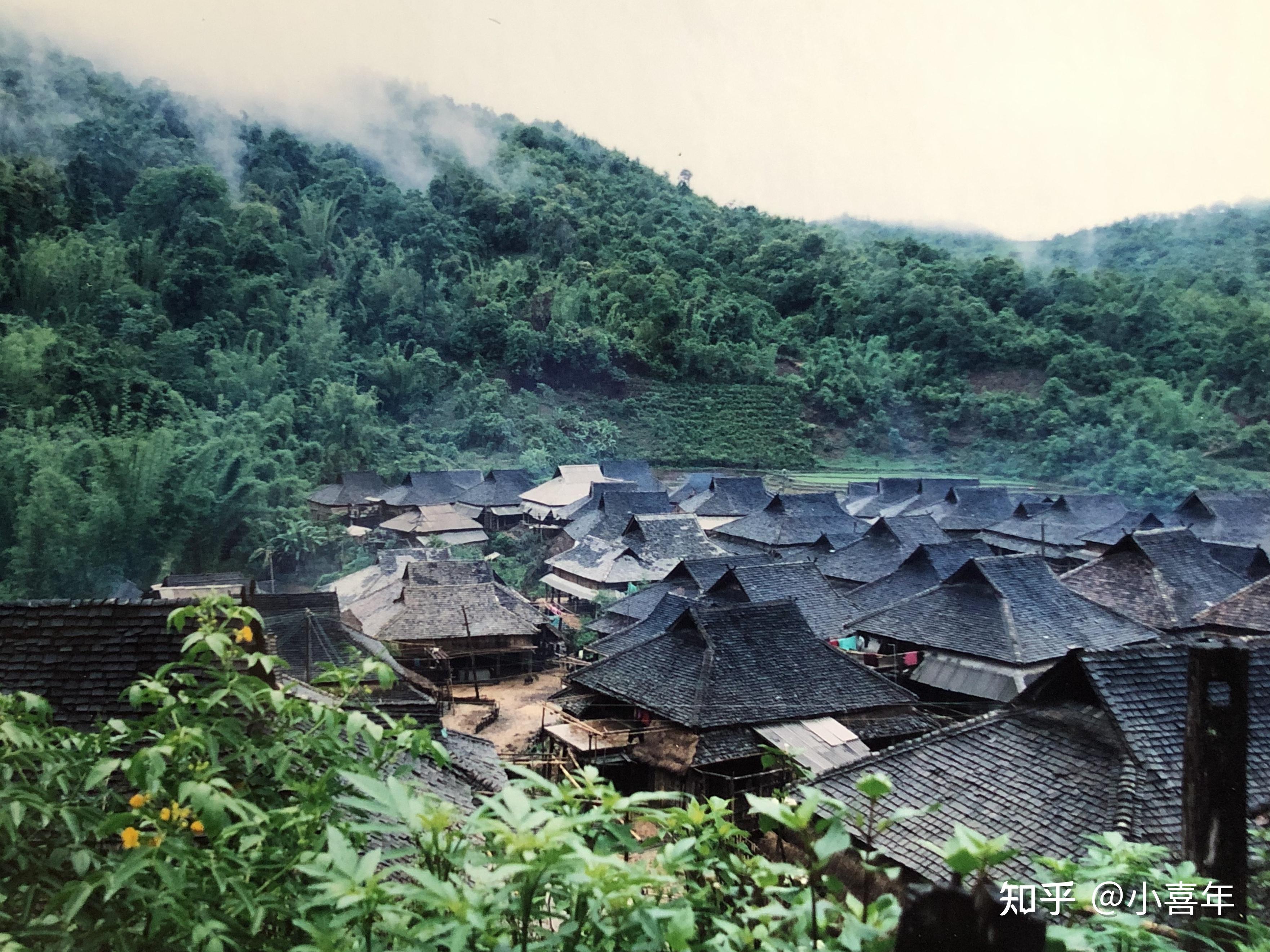 盘点五大经典山头名寨的普洱茶特点看看你喝过没