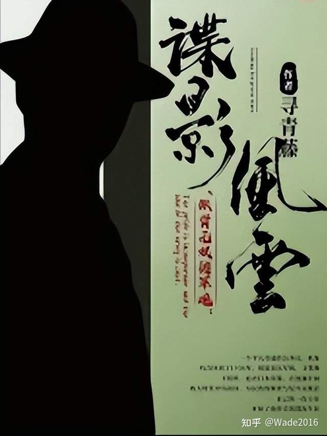 第一本:《谍影风云》作者:寻青藤