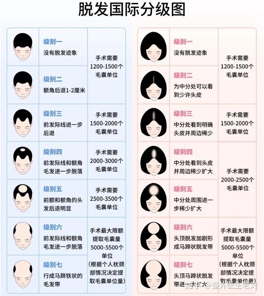 植发1500毛囊价格表