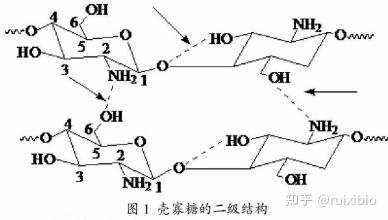 定制合成壳聚糖 海藻酸钠 果胶 透明质酸海藻糖等化妆品脂质体 知乎