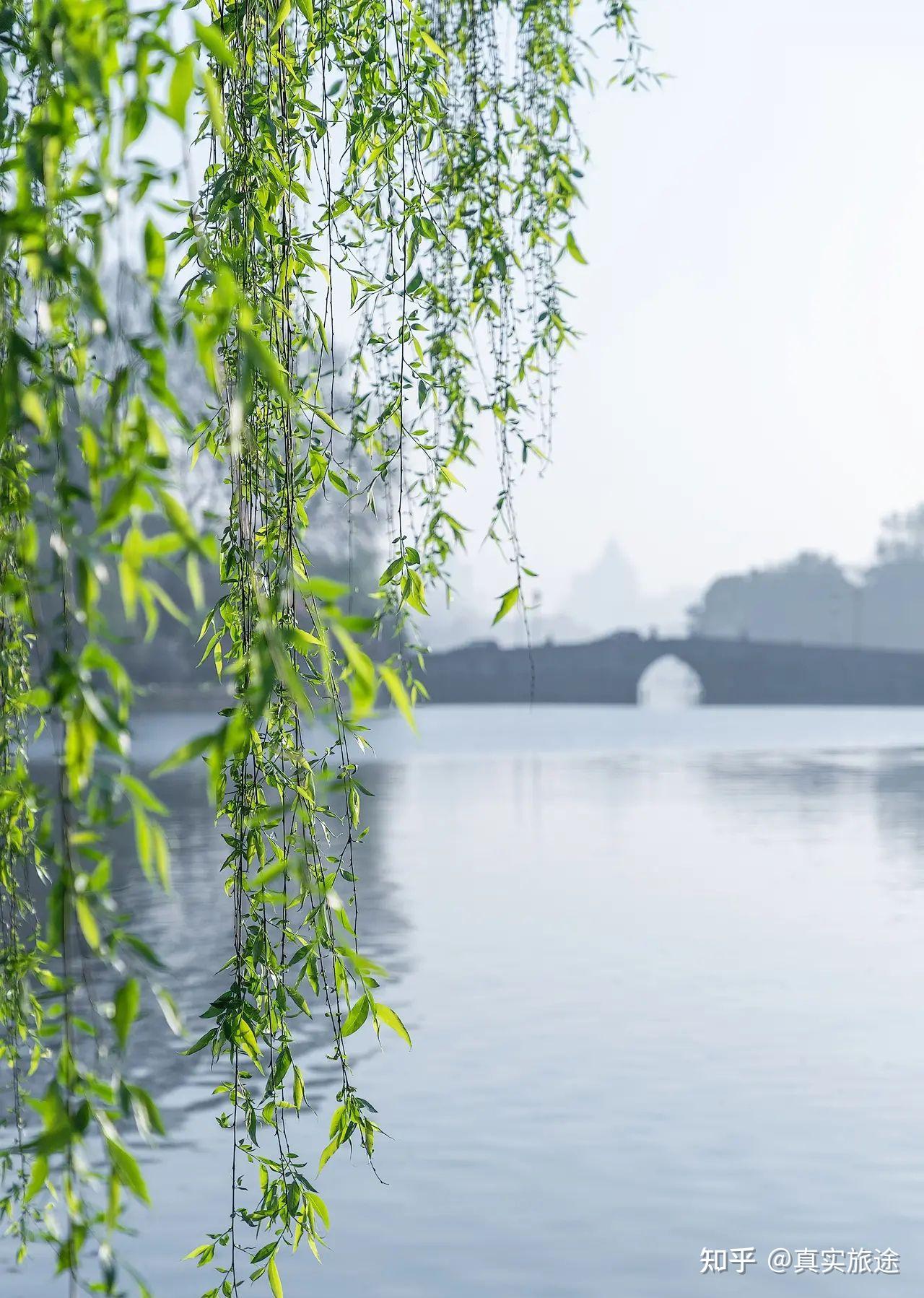 日过三巡春意爽鸟语花香莺歌燕舞桃红柳绿含苞欲放春回大地三月桃花水