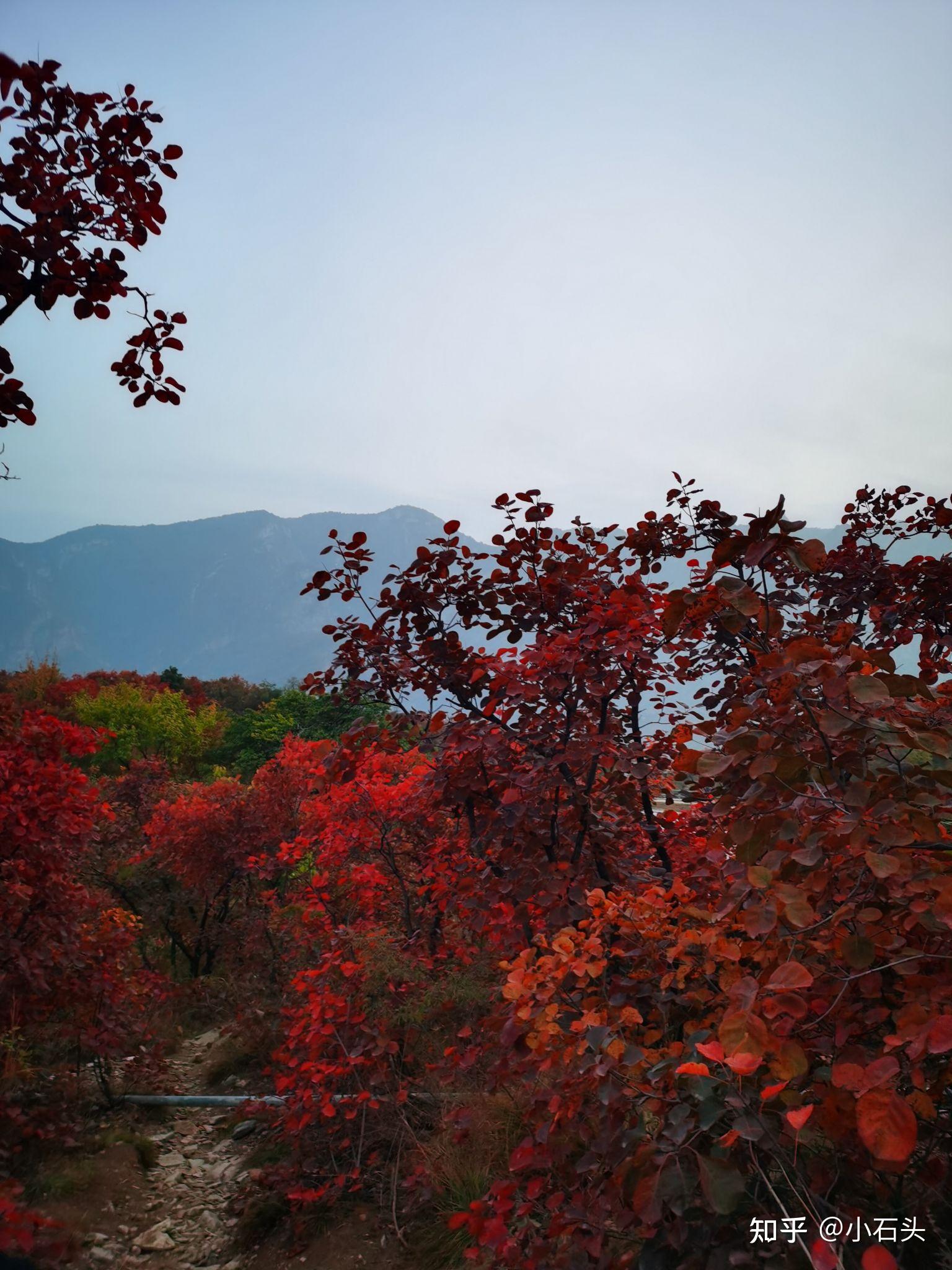 北京房山区一日游,坡峰岭红叶正当时,人少景好,不堵车