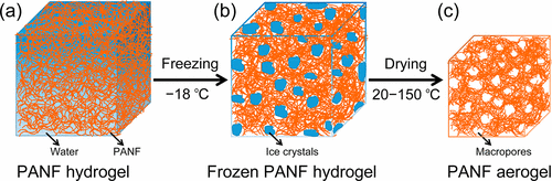 清华大学庹新林/北京化工大学邱藤《acs nano》改性冻干法宏观制备芳