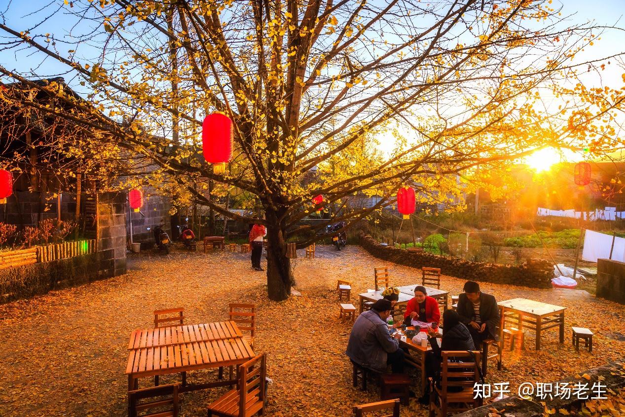 中国十大养老宜居城市,堪称退休者的天堂!你中意哪座? - 知乎