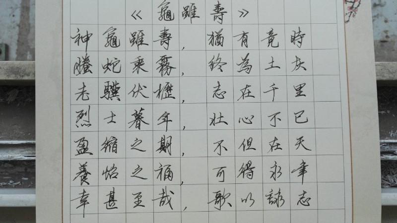 曹操龟虽寿手写钢笔字笔友钢笔书法习作欣赏