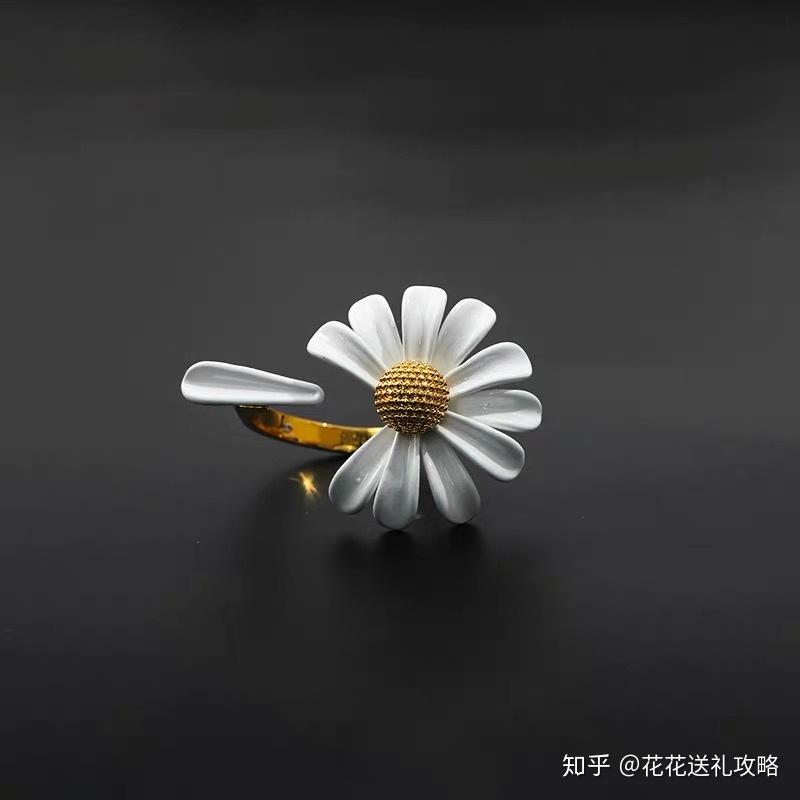什么生日礼物不俗 v2-13dd6f7215988971ca619f8191a6ae8d_r.jpg