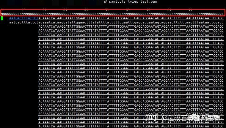 比对软件|Samtools - 知乎