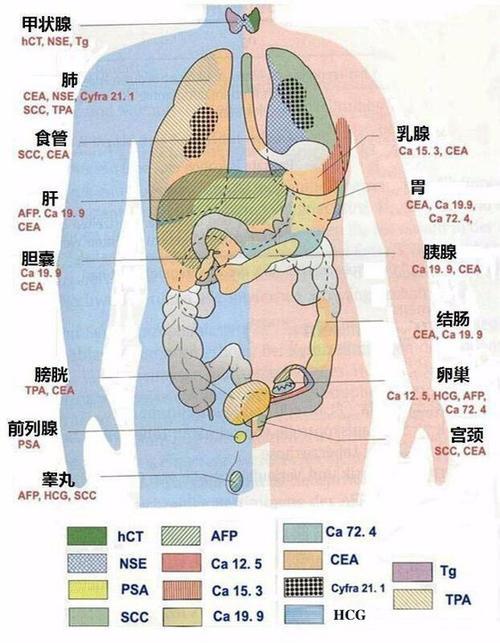 v2-13e8edfc6314df803b1527b9dada04b1_1440w.jpg?source=172ae18b