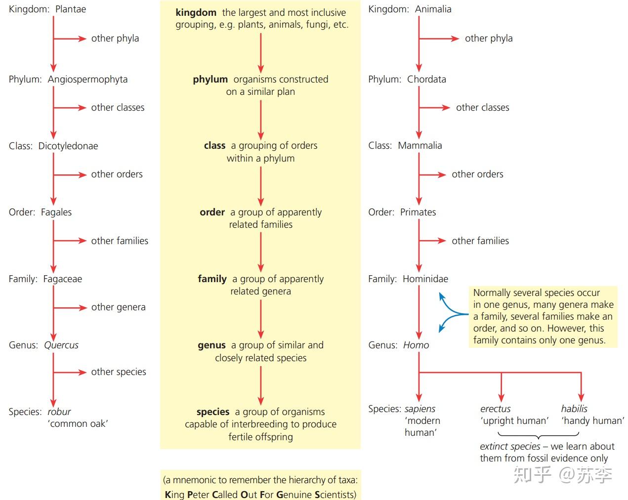 Topic 5.3 Classification of biodiversity (物种分类) - 知乎
