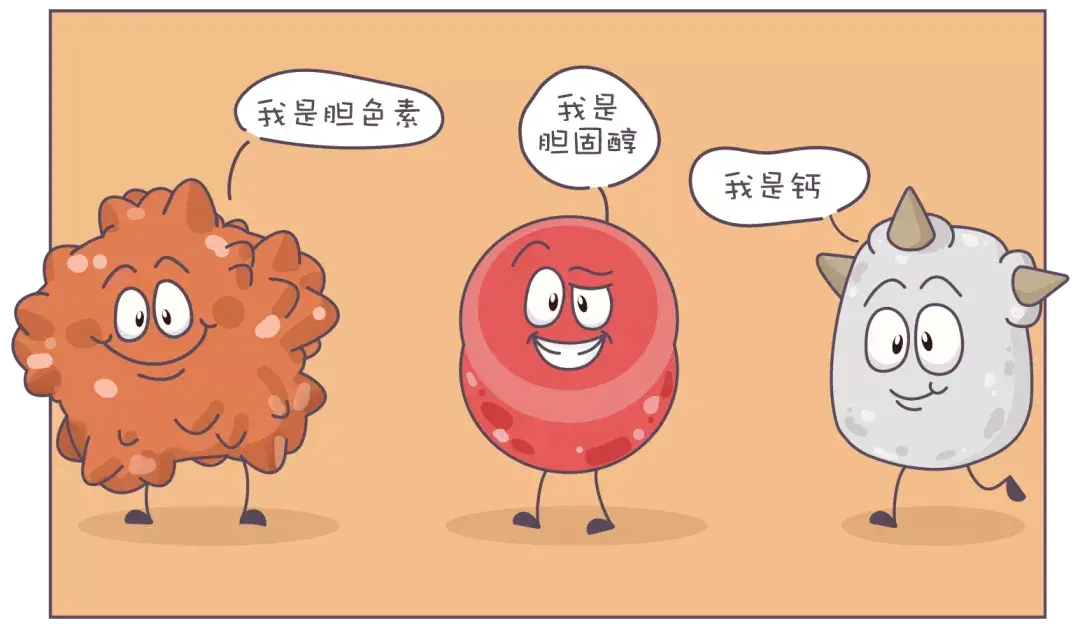 我们的胆汁中,含有胆色素,胆固醇,钙,他们三兄弟非常顽皮,经常是不肯