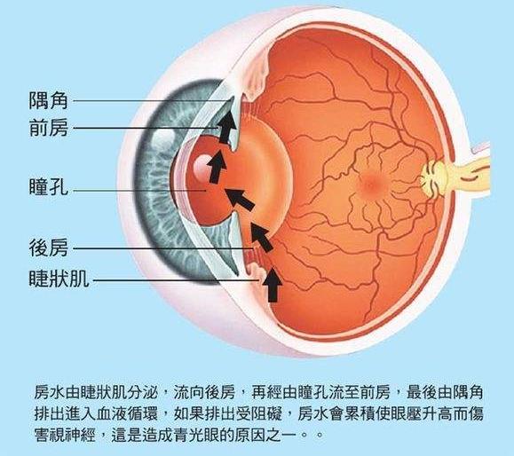 小梁网位置图图片