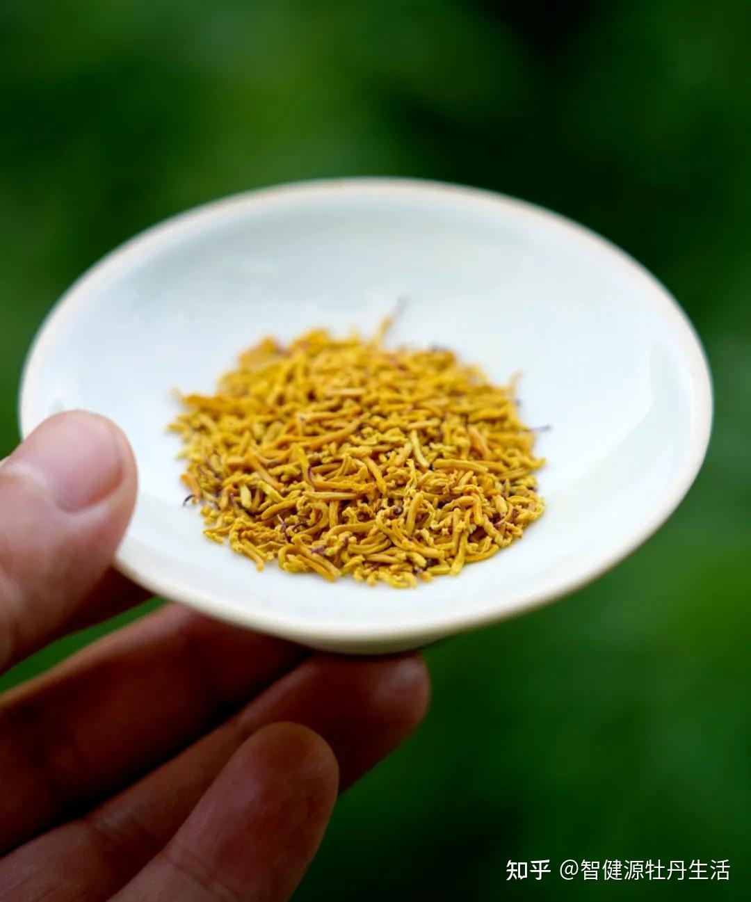凤丹牡丹:千年传承的天然食药妆新宠 - 知乎