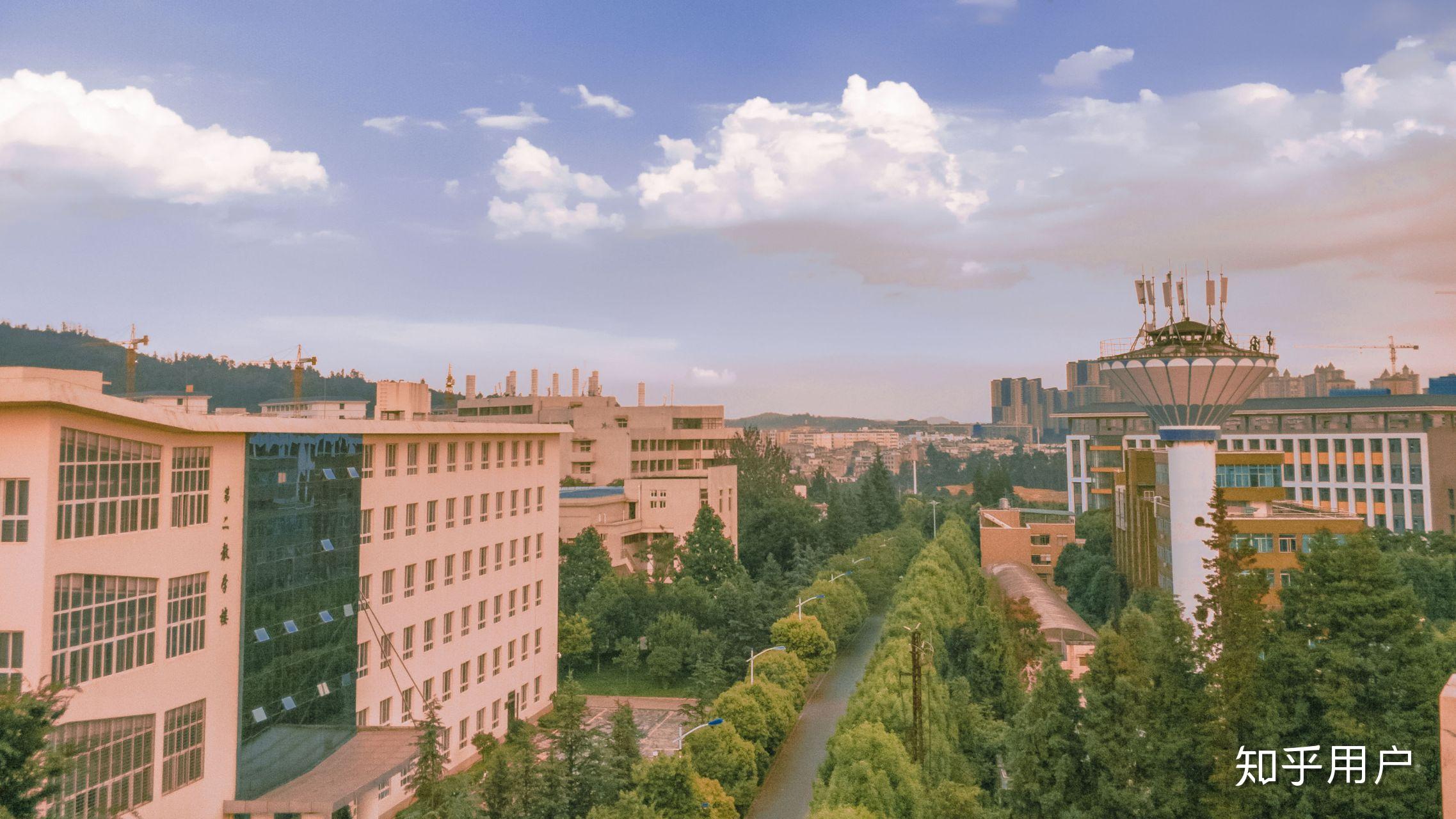 西南林业大学的校园环境如何