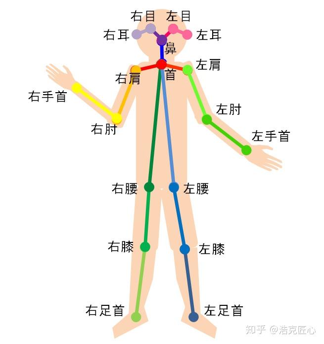 【AI识人】OpenPose:实时多人2D姿态估计 | 附视频测试及源码链接 - 知乎