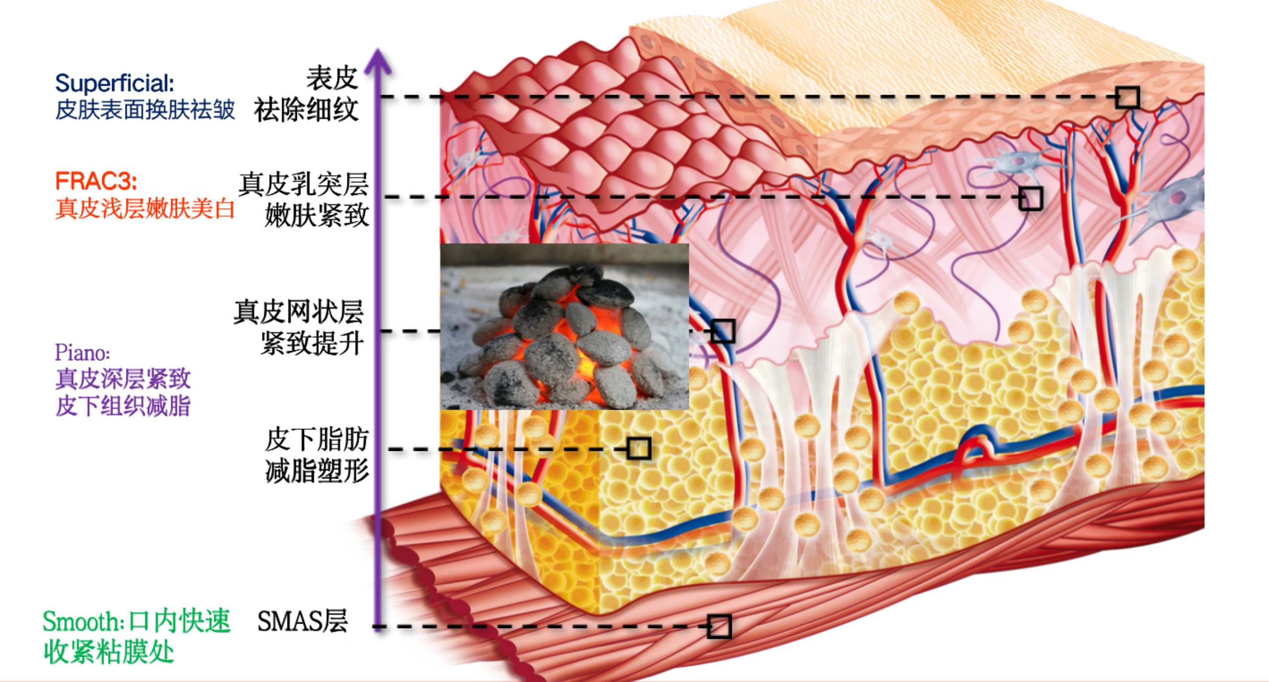 深入皮肤层次