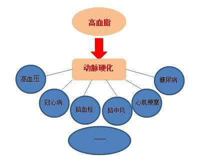 v2-1426df4697c6c1dd45c381177fc40500_1200x500.jpg