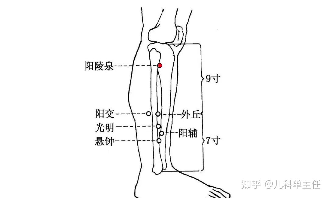 用拇指指腹按揉阳陵泉100下