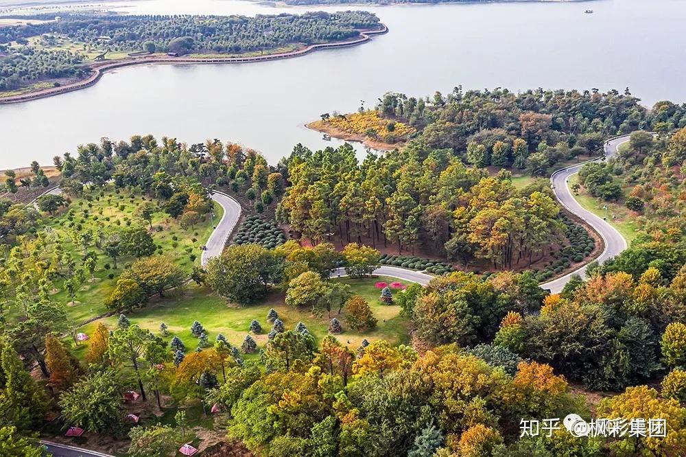 最美枫彩漫城 - 知乎