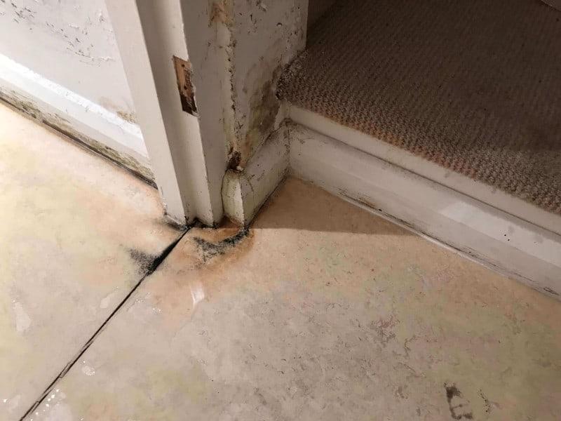 为什么我的地下室有潮湿我能做些什么呢