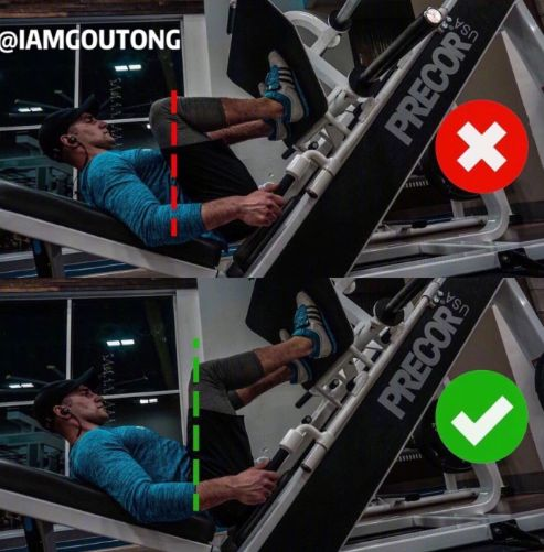 练腿你需要了解的股四头肌动作只做深蹲还是一上来就倒蹬不明白的看