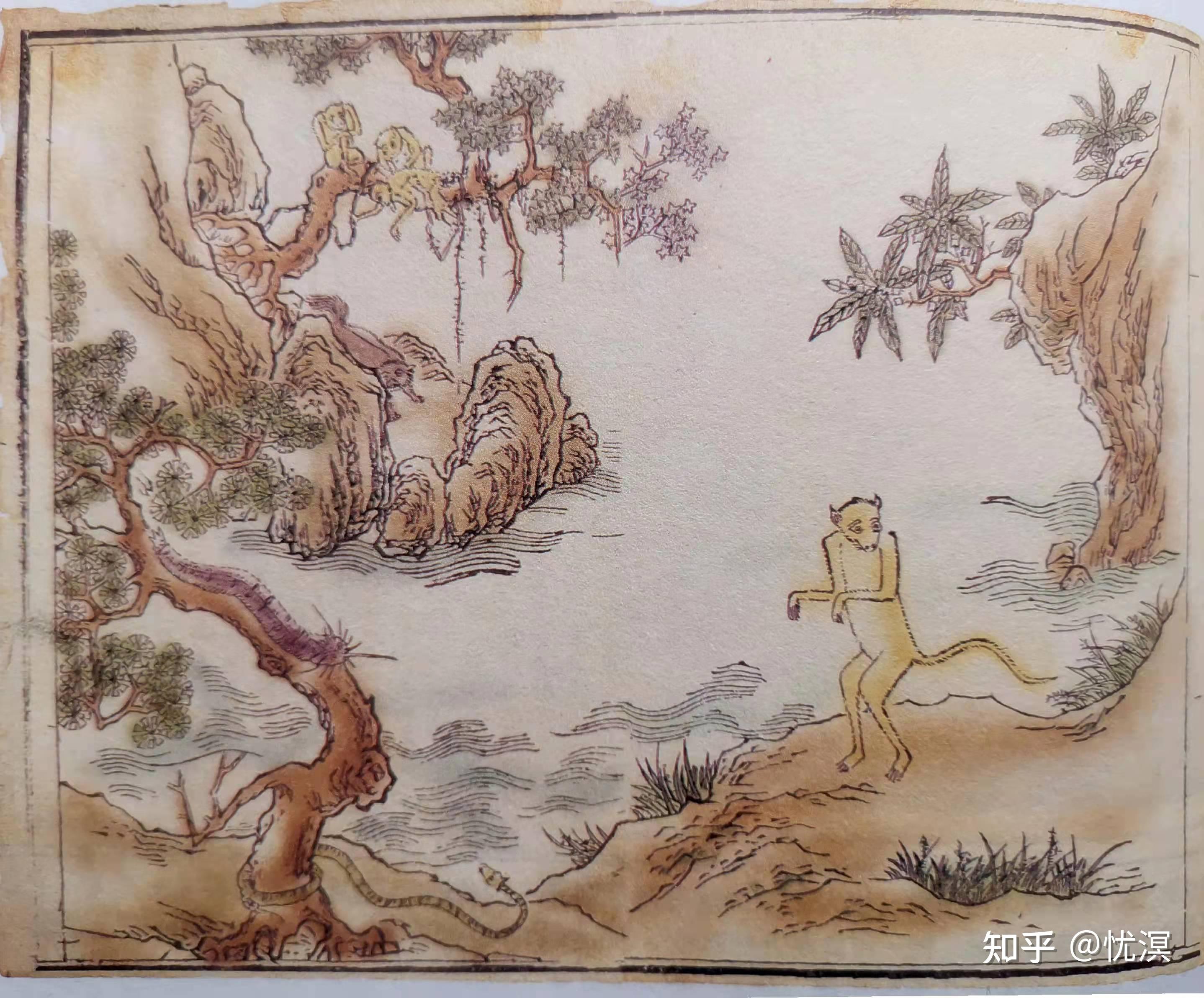 山海经里的神秘异兽——狌狌 - 知乎
