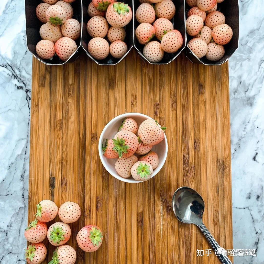 在这些荷兰水果还没成为网红之前你一定要试一次